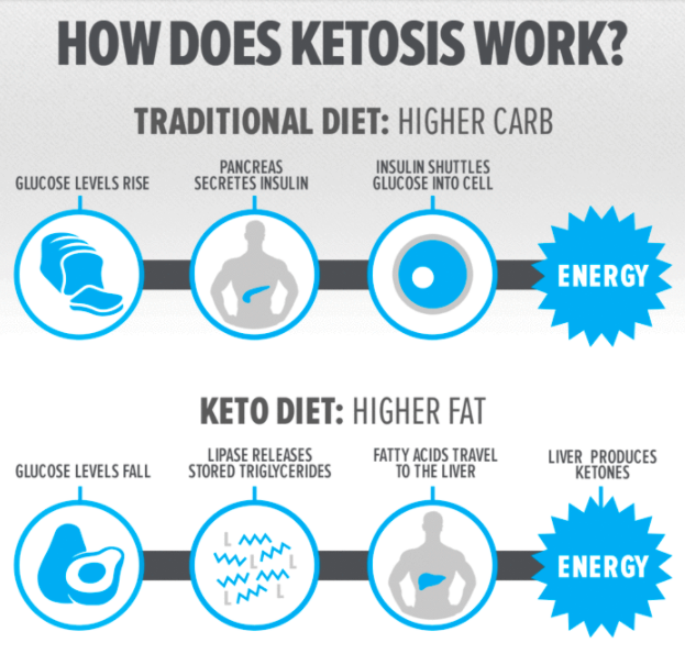Cyclical Ketogenic Diet