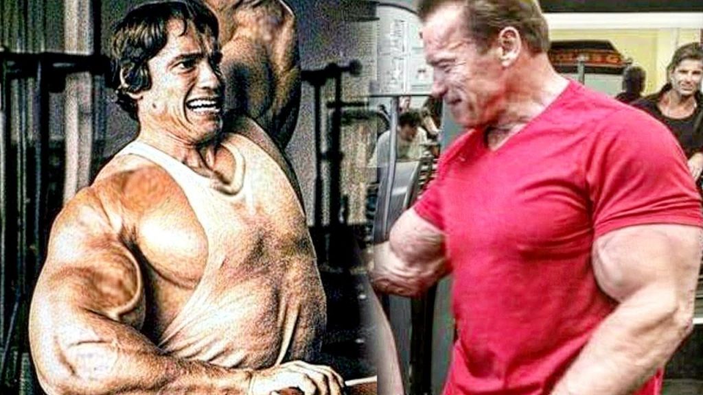 Arnold Schwarzenegger Research