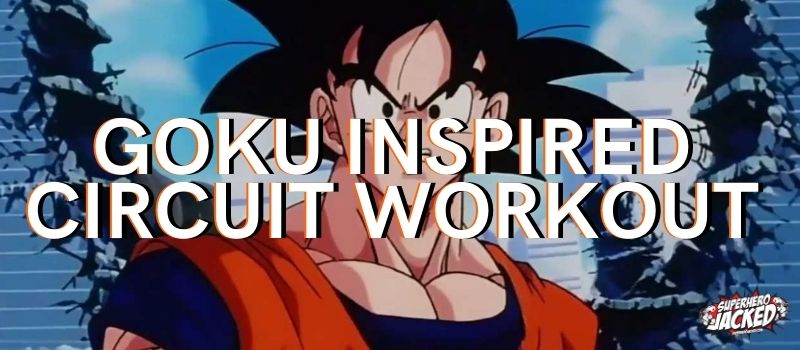 Goku Inspired Circuit