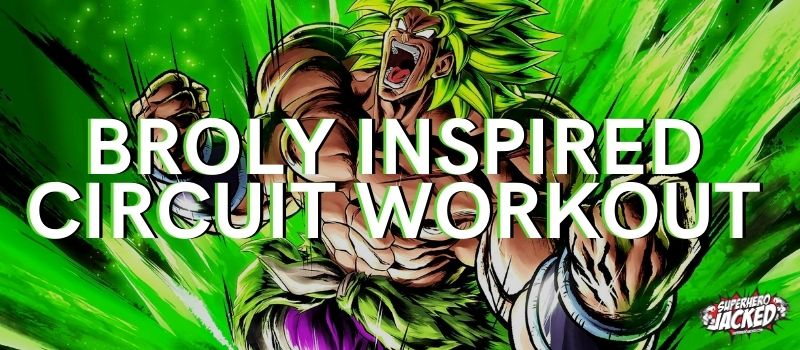 Broly Inspired Circuit