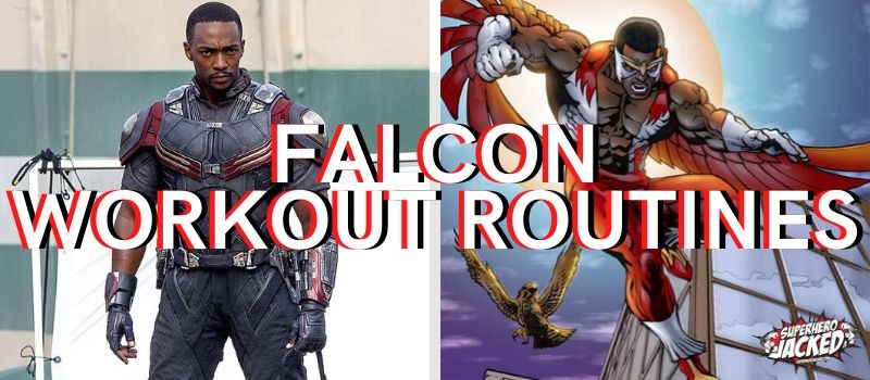 Falcon Workouts