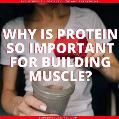 Why Is Protein So Important For Building Muscle?
