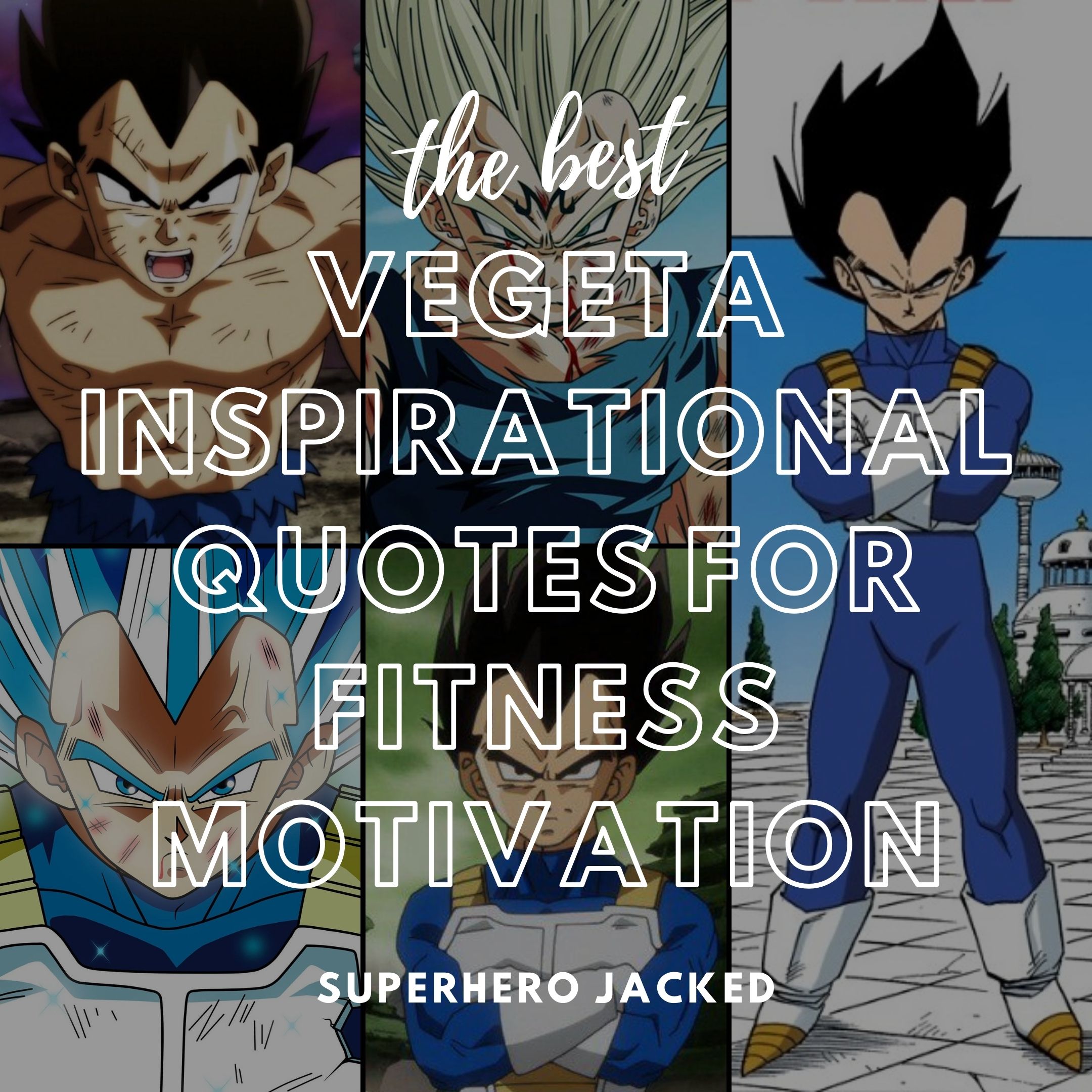 Vegeta Quotes: Top Vegeta Quotes for Fitness Motivation!