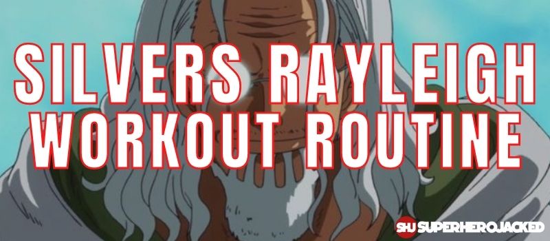 Silvers Rayleigh Workout Routine