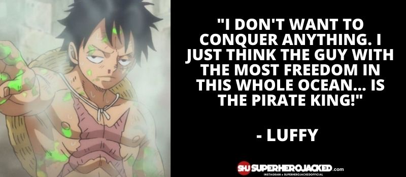 Luffy Quote 10