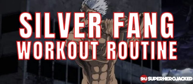 Silver Fang Workout Routine